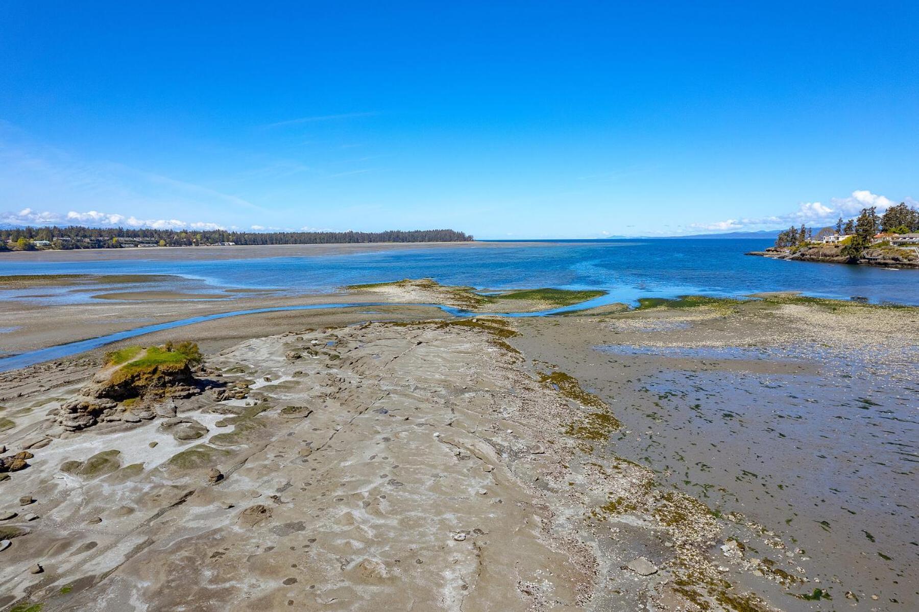 Pacific Shores Resort & Spa Parksville Exterior foto