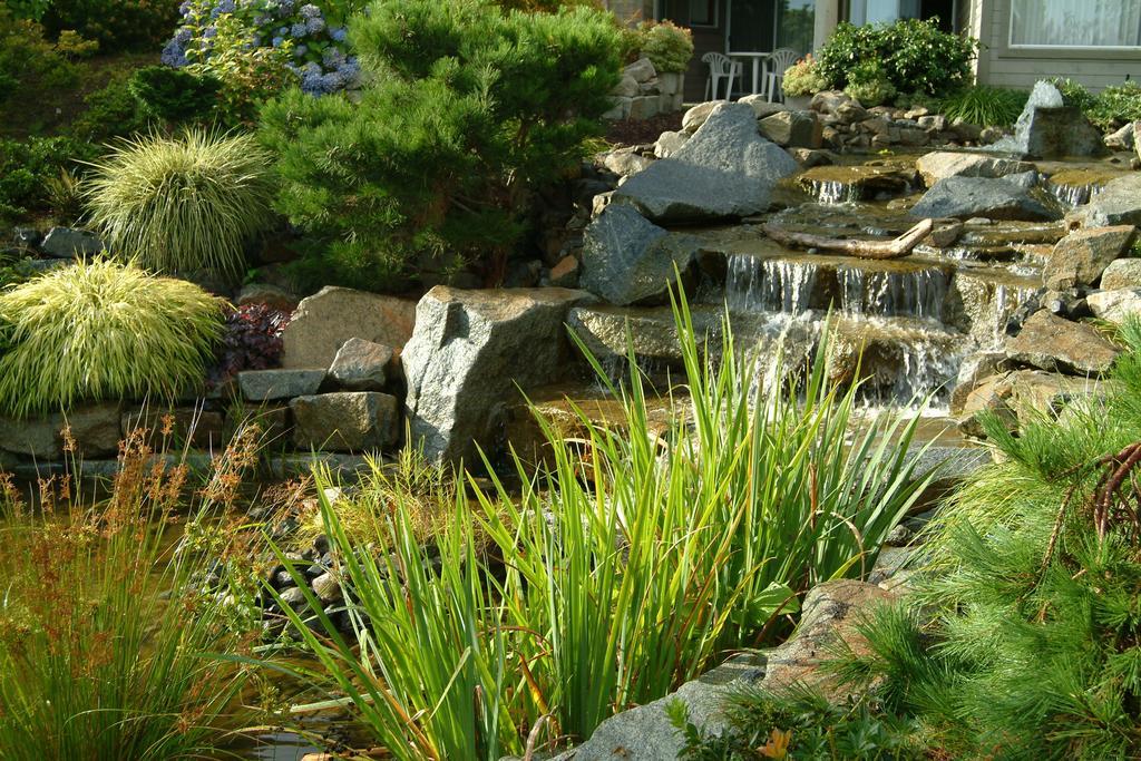 Pacific Shores Resort & Spa Parksville Exterior foto